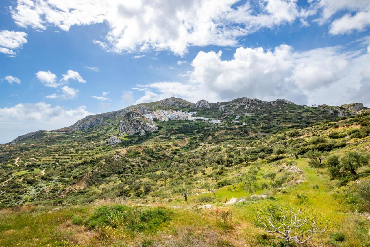 Olive Grove Cottage Menetaí 外观 照片
